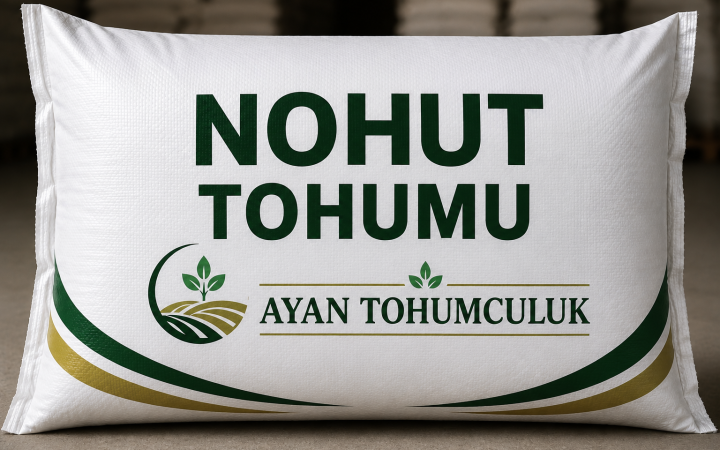 Nohut Tohumu